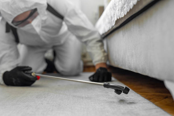 Professional Cockroach Control technician working in Taylor Creek, FL