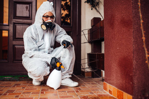 Reliable Cockroach Control contractor in Taylor Creek, FL by Nex Pest Control
